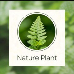 Nature Plant