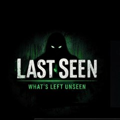 Lastseen.fsy923