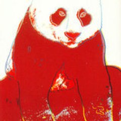Raphael Labbé