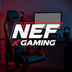 NEFxGaming