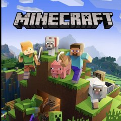 The best minecraft build