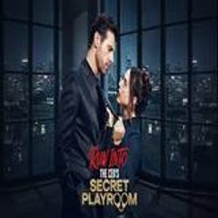 run into the ceo's secret playroom full