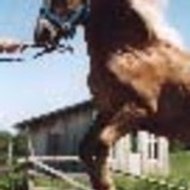 Wendy Yaël Timéo WENDY