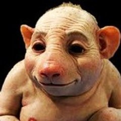 Phil Depiets