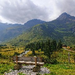 Jeremy Haynes Course