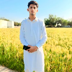 Syed wafa Abbas