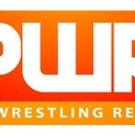 Pro Wrestling Report