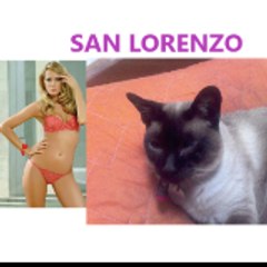 dnSanLorenzo