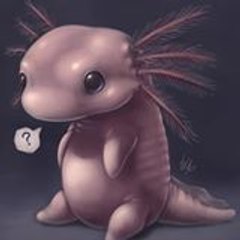 Shakky