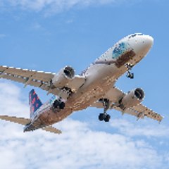 Wings of Survival