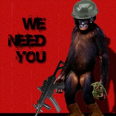 crazy monkey clan