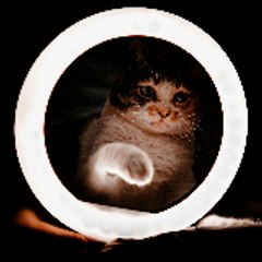 Cat Kids Channel🙀😹