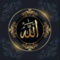 ISLAMIC VIDEOS AND HADITH