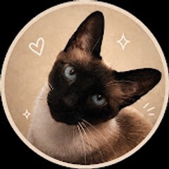 CatZor
