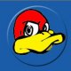le_canard_vexe