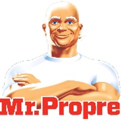 Mister propre