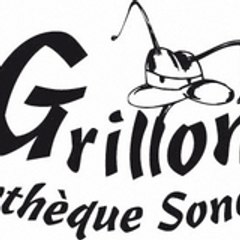 The New Grillon