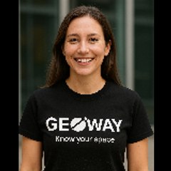 Geoway