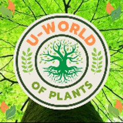 Uworld_ofplants