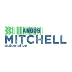 Mitchell Automotive