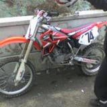 panighetti
