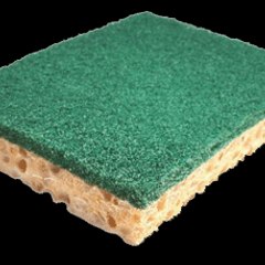 Sponge