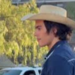 stableboy - Full