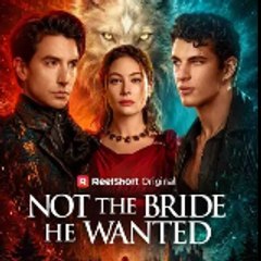 Not the Bride He Wanted