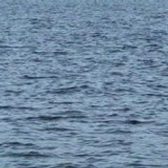 vlogpond