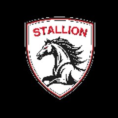 Stallion Auto