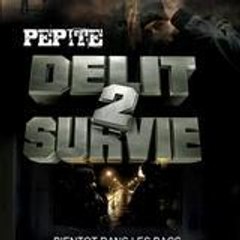 malfaiteurs pepite
