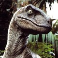 Raptor3183