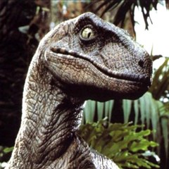 Raptor3183