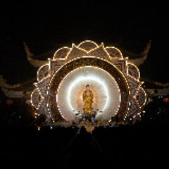 Tâm Liễu