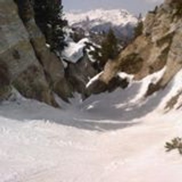 duc_1