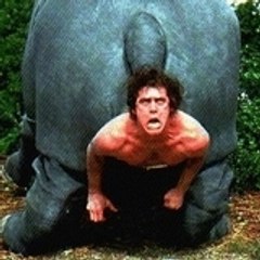 HumanGumboProductions