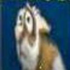 xemul