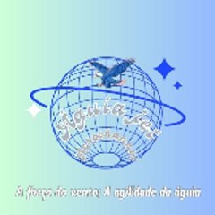 Águia aerospace