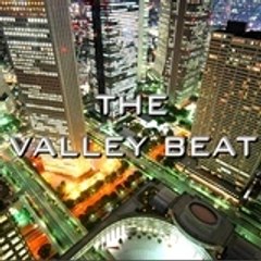 Svenn The Valley Beat V-Log