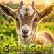 ECHO GOAT
