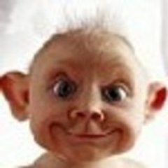 zegma21
