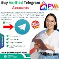 pvaseoexpert48