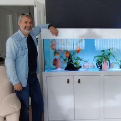 mehmet sipahi