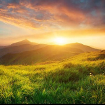 Nature For You