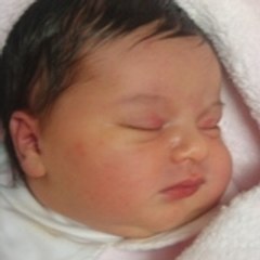 Lilly Rose Dahan