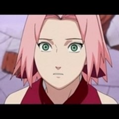 sakura34