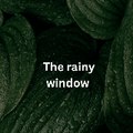 The rainy window