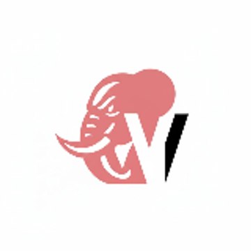 Viralvista media agency