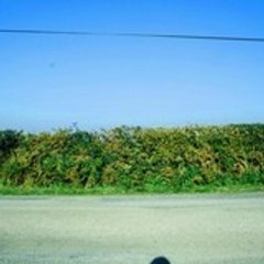 sam42300