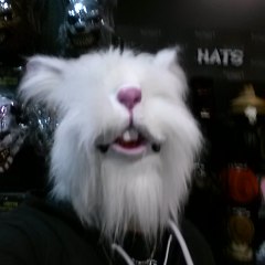 The_WhiteRabbit